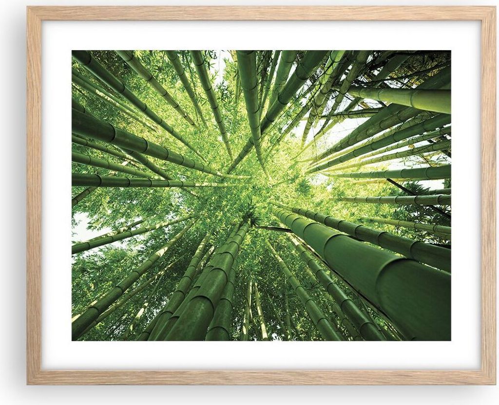 Gerahmtes Poster - Rahmen in heller Eiche - Bambus Dschungel Grün - 50x40 cm - Wand Bild - Wanddeko - Wandbilder - Wandposter - Bilderrahmen - Bil...