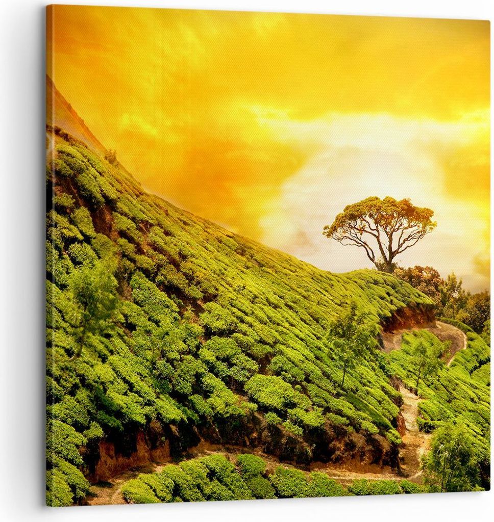 Bild auf Leinwand - Leinwandbild - Berg Baum Pfad Hügel - 60x60cm - Wand Bild - Wanddeko - Leinwanddruck - Bilder - Kunstdruck - Wanddekoration - ...