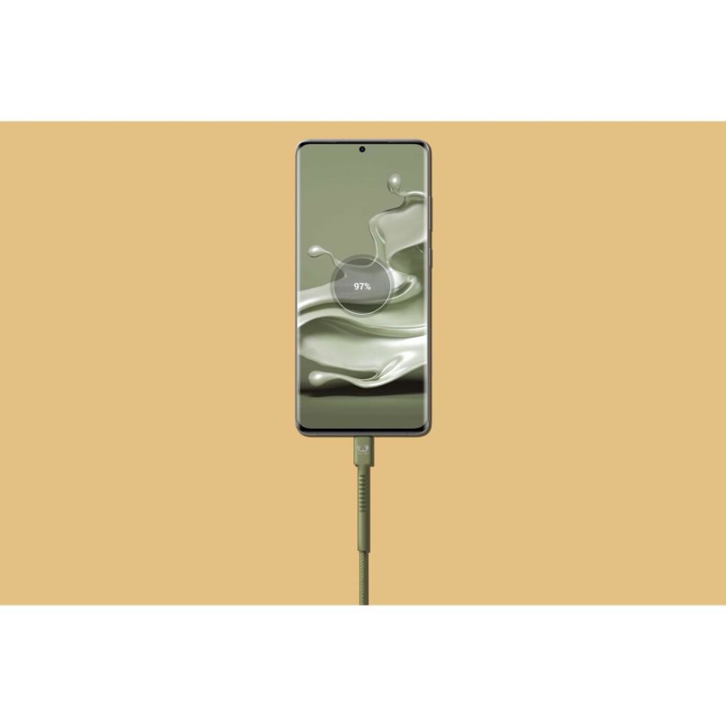 Fresh 'n Rebel 2UCC200DG, 2 m, USB A, USB C, Grün