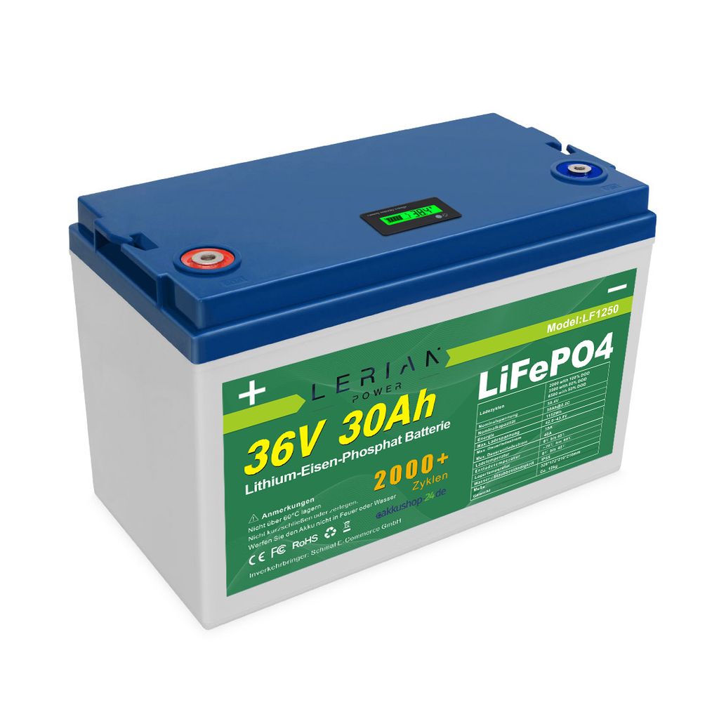 LiFePO4 Akku 36V 30Ah 1080Wh Lithium-Eisen-Phosphat Batterie für Camping Boot