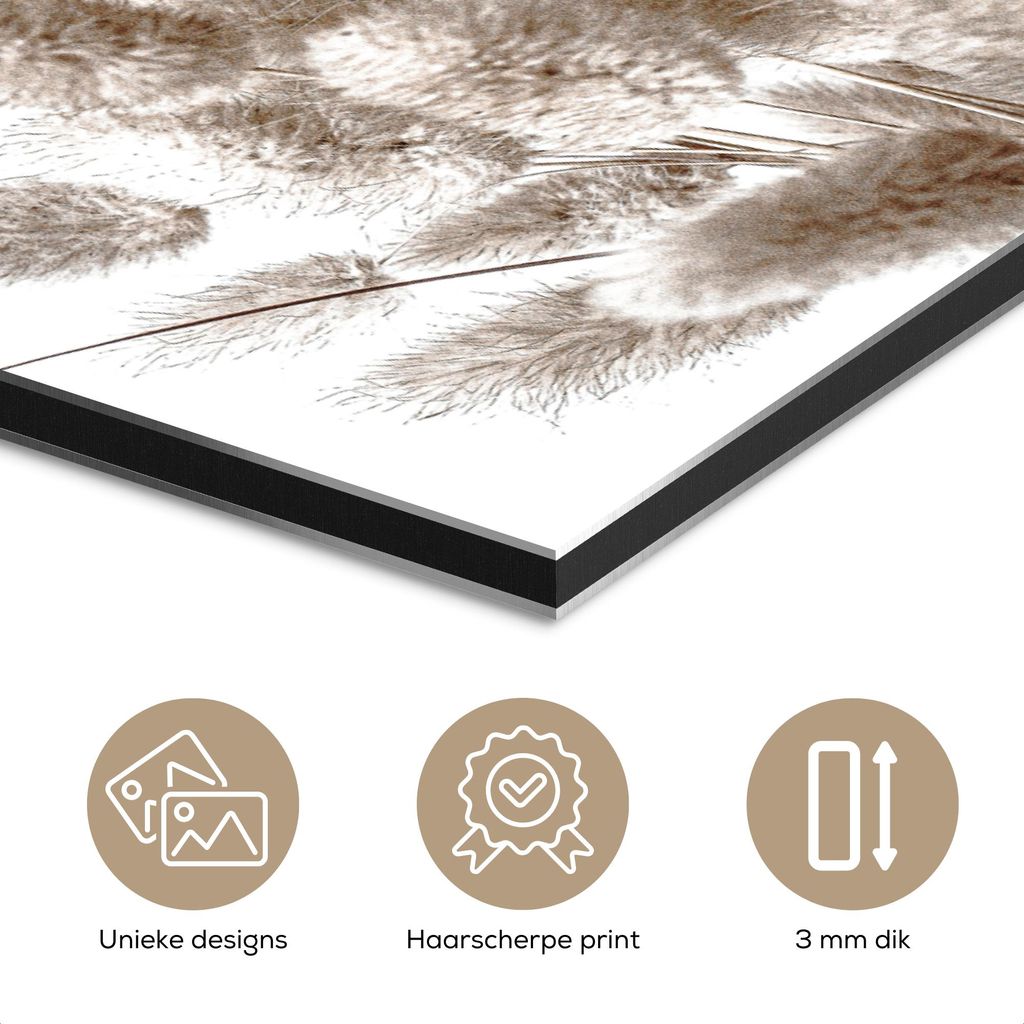 MuchoWow Wanddekoration Metall Metallbild Wandkunst 20x30 cm Pflanzen - Federn - Weiß MuchoWow Aluminium Gemälde - Alu Dibond Bild