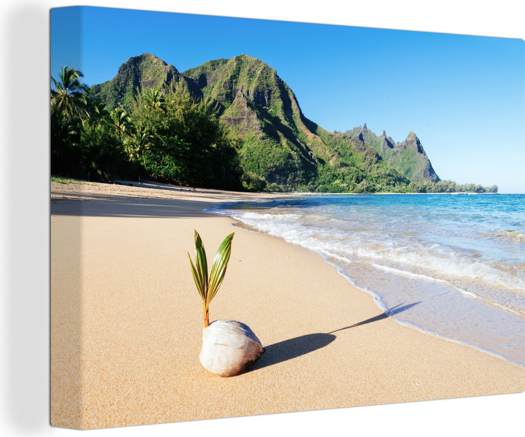 OneMillionCanvasses - Leinwandbilder - 140x90 cm, Kokosnuss mit dem Prinzip einer Palme an einem perlweißen Strand, Wandbilder Kunstdruck Wandde...