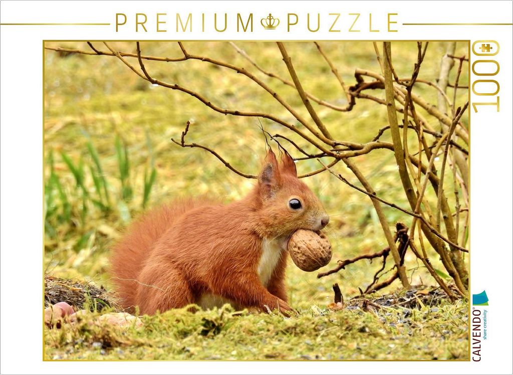 CALVENDO Puzzle Eichhörnchen mit Walnuss | 1000 Teile Lege-Größe 64x48cm Foto-Puzzle für glückliche Stunden