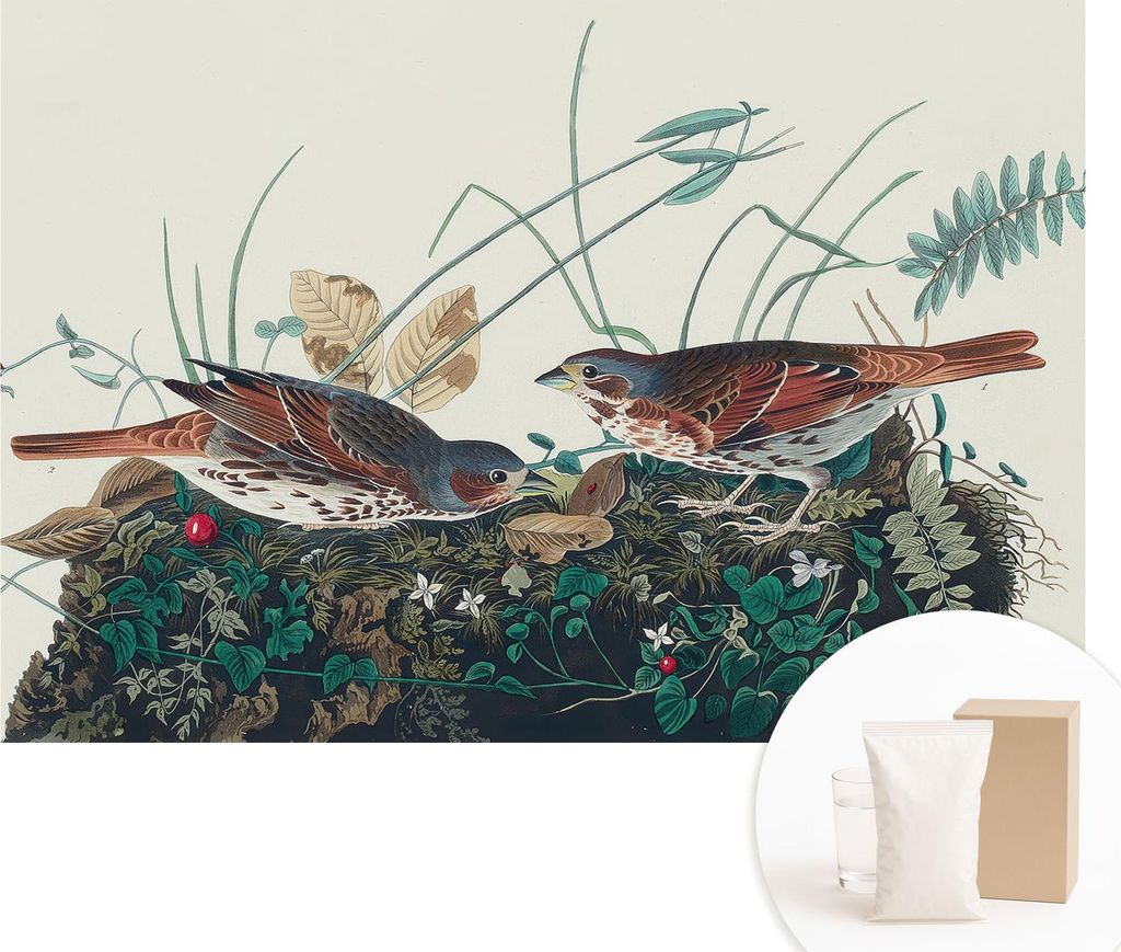 Fototapete - Wandbilder für Wohnzimmer - 152x104 cm - Dekorative Wandfolie - Modernes Design für Wanddekoration - Tapeten für Innenräume - Der ...