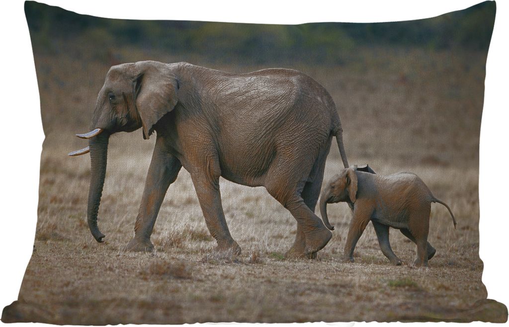 MuchoWow Outdoor Kissen - Elefant - Tiere - Savanne - Natur - 50x30 cm - Wetterfest - Lounge Kissen - Sofa kissen - Wohnzimmer Dekoration