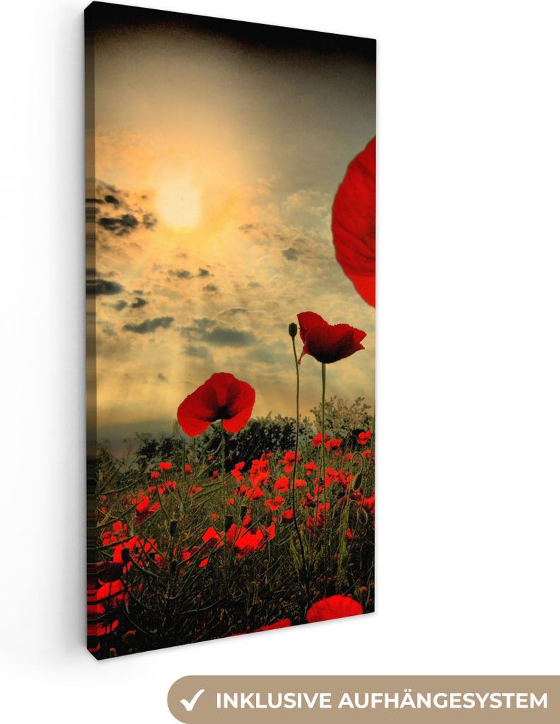 MuchoWow - Leinwandbilder - Mohnblumen am Abend, Wandbild, Wanddeko Bilder Wohnzimmer, 20x40 cm