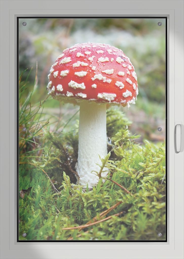 Wallario Lichtschutzbild, Dekorativer Sichtschutz Sonnenschutz 76 x 115 cm mit Motiv: Fliegenpilz im Wald - Verdunklung ohne Bohren