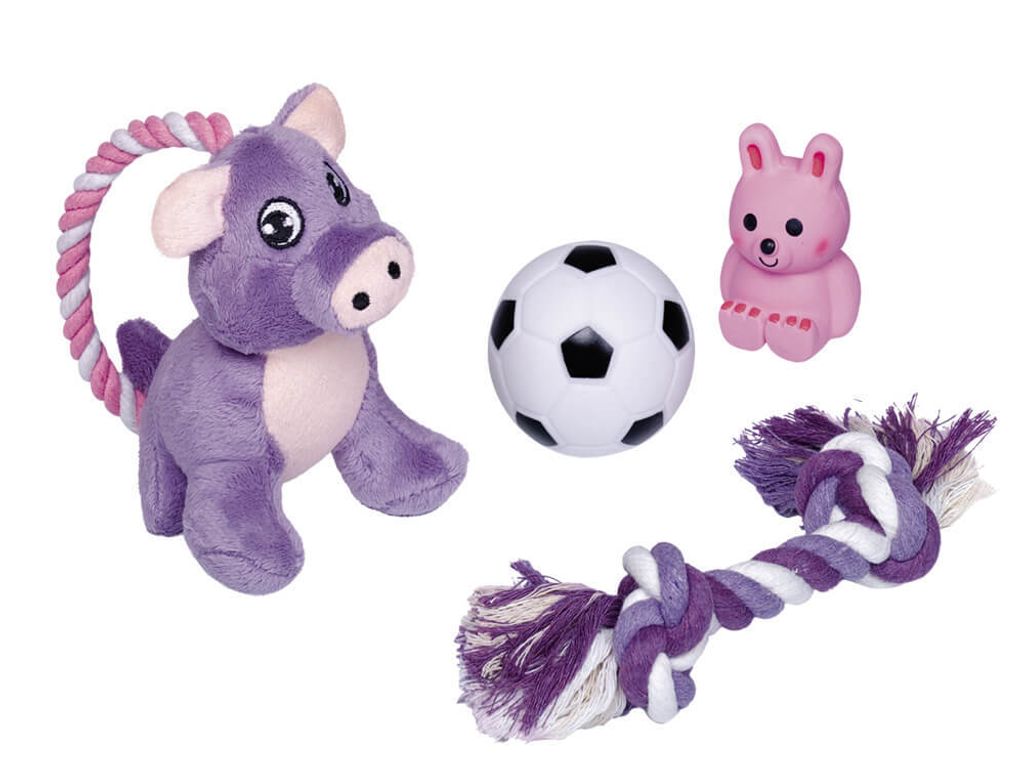 Nobby Hundespielzeug Puppy Starter Set Welpenspielzeug