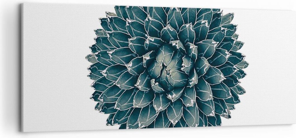 Bild auf Leinwand - Leinwandbild - Einteilig - Agave Königin Victoria - 120x50cm - Wand Bild - Wanddeko - Wandbilder - Leinwanddruck - Bilder - Wa...