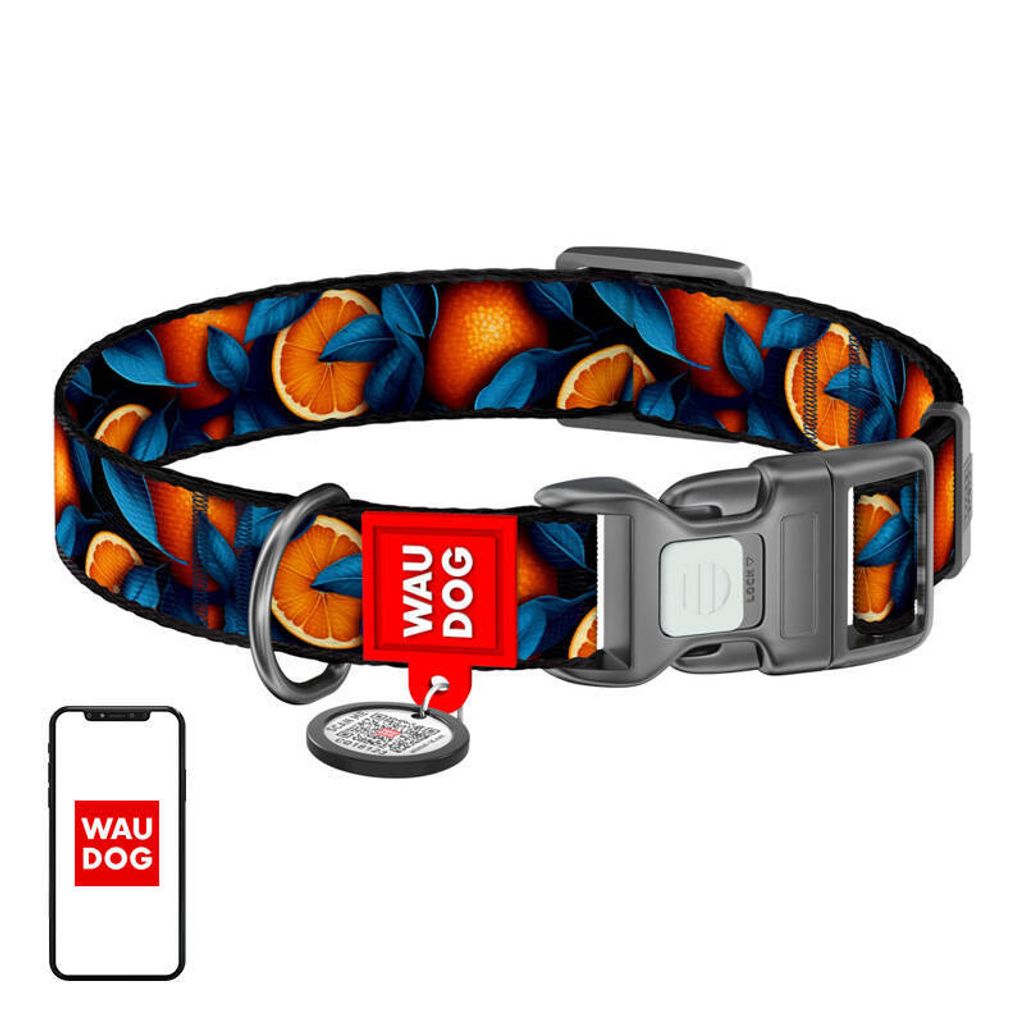 Waudog "Oranges" Nylon-Hundehalsband mit QR-Code, Größe L