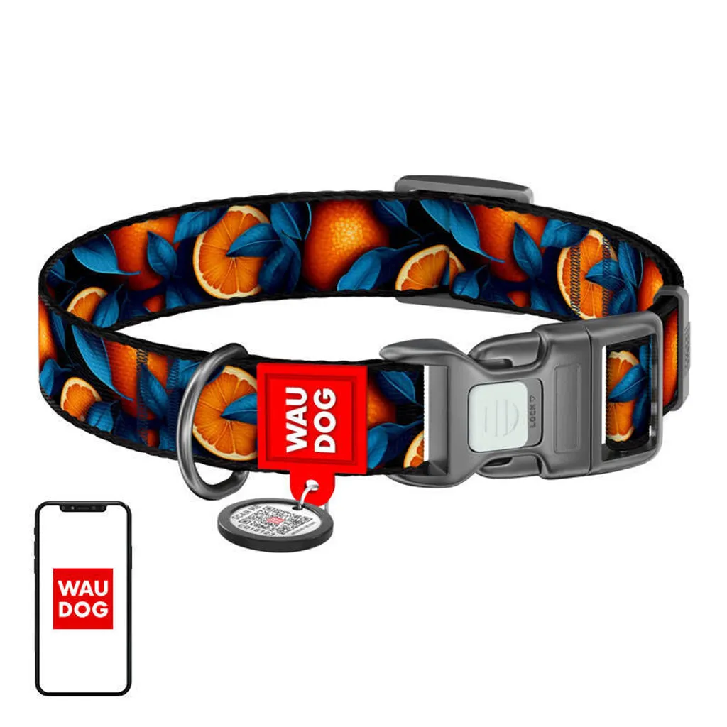 Collare Cane WAUDOG L Arancione: Sicurezza Smart QR rPET 33-49cm
