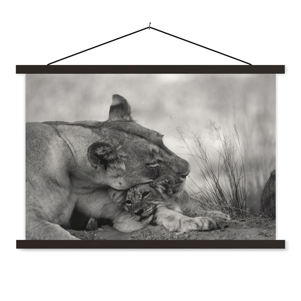 MuchoWow Textilposter Löwin - Jungtier - Schwarz 60x40 cm mit schwarzem Rahmen - Hölzernes