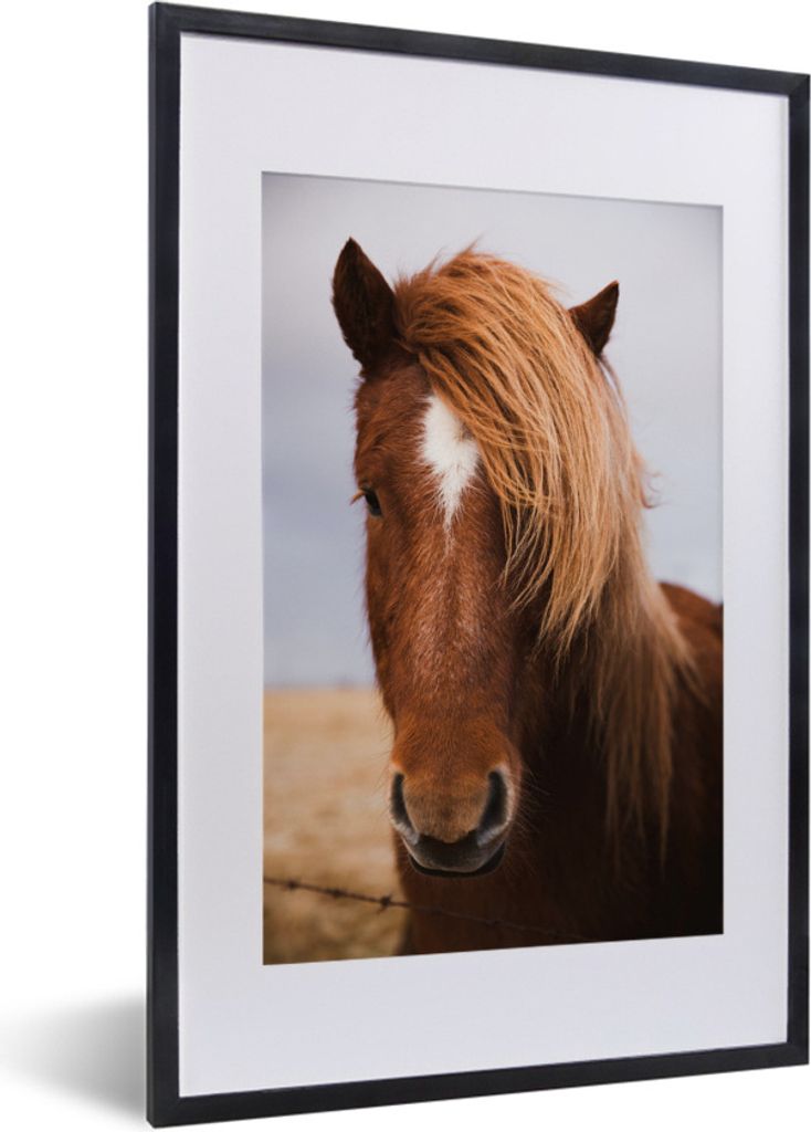 MuchoWow Gerahmtes Poster Island - Pferde - Braun 40x60 cm - Poster mit Schwarzem Bilderrahmen Wandposter Rahmen Foto Bilder - Poster in Rahmen