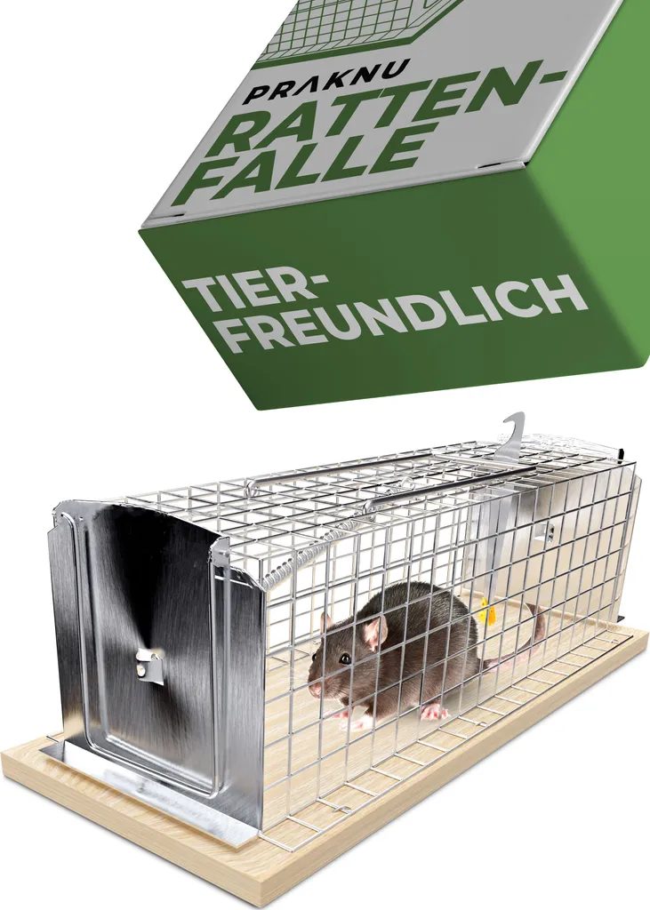 Piège à rats vivant 30 cm - Cage capture rongeurs réutilisable XL