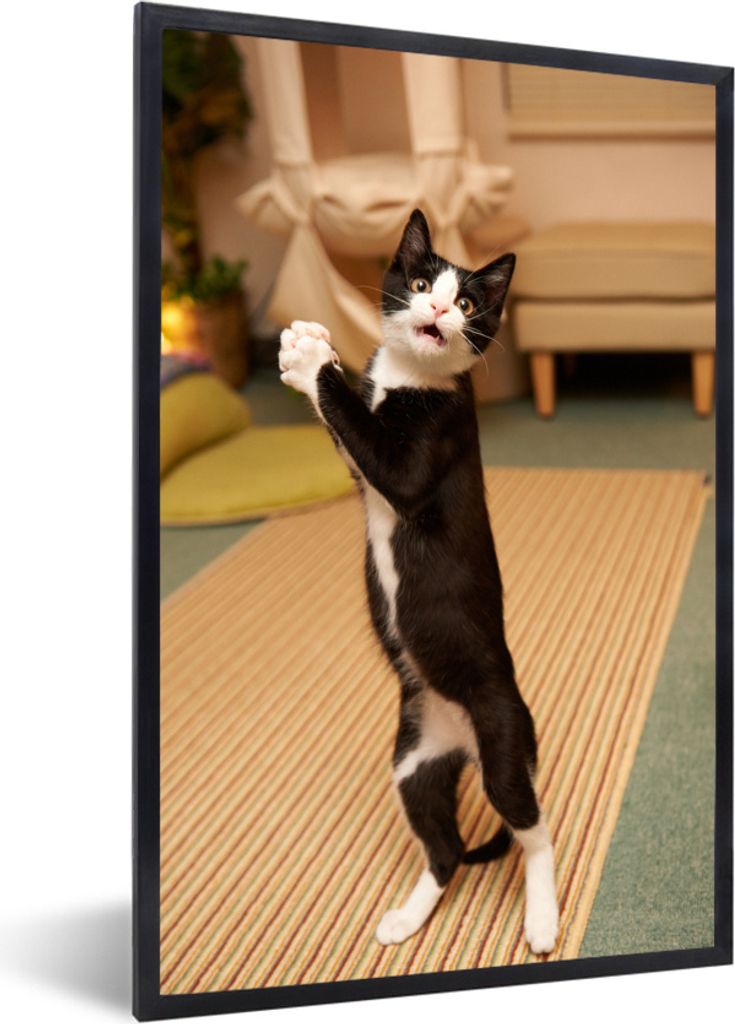MuchoWow MuchoWow Gerahmtes Poster Katze - Wohnzimmer - Schwarz 60x90 cm - Poster mit zchwarzem Bilderrahmen - Kunst