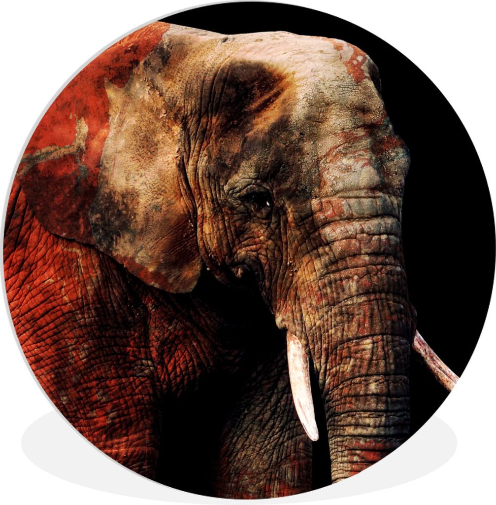 MuchoWow Rundes Wandbild - Runde Bilder Elefant - Rot - Zähne Ø 90 cm Kreis Wanddekoration Kunststoff - Wandkreis - Wandschmuck - Wand-Kreis - ...