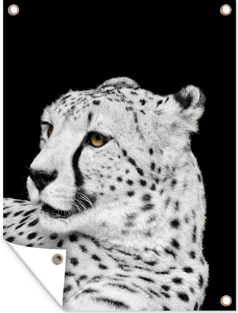 MuchoWow 60x80 cm Outdoor-Poster Gartendeko Sichtschutz Garten Poster für den Garten Leopard - Weiß - Schwarz