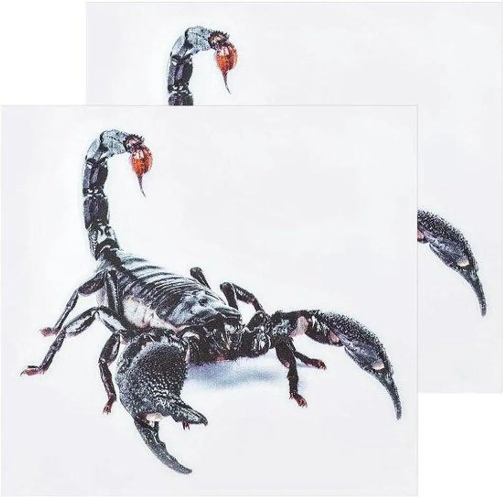 Autocollant Scorpion 3D étanche en PVC souple pour décoration auto moto
