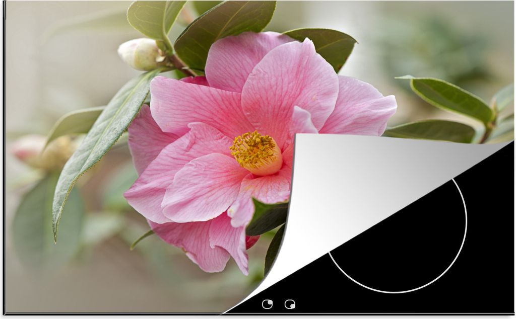 KitchenYeah Herdabdeckplatte Nahaufnahme einer Kamelienrose mit gelbem Herz , 76x51cm, Küche Deko, Glaskeramikfeld Herdabdeckung, Abdeckplatte f...