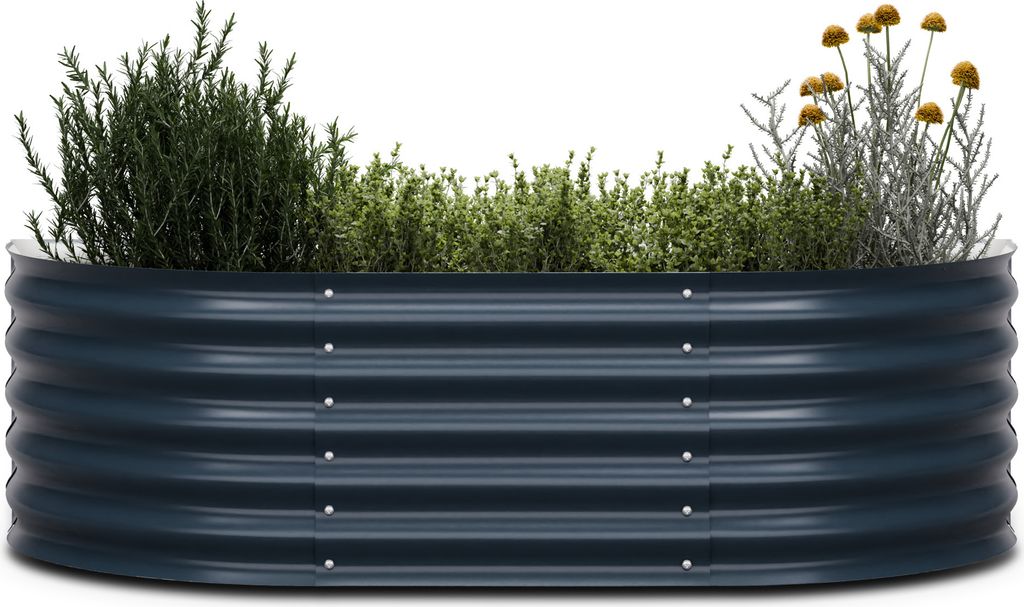 A dark grey raised garden bed filled with various plants, including rosemary and yellow flowers.