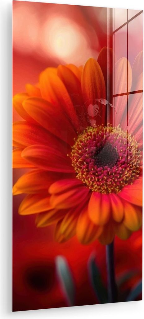 MuchoWow Glasbilder - Bilder auf Wandbild - Foto auf Glas Orange - Gerbera - Intensiv 40x80 cm Wanddekoration aus Glas - Acrylglasbild - Acrylbilde...