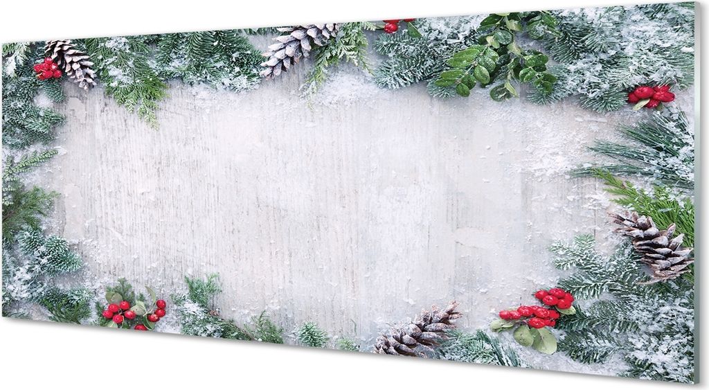 Glasbilder 125x50 Wandkunst Schneekegel, Zweige