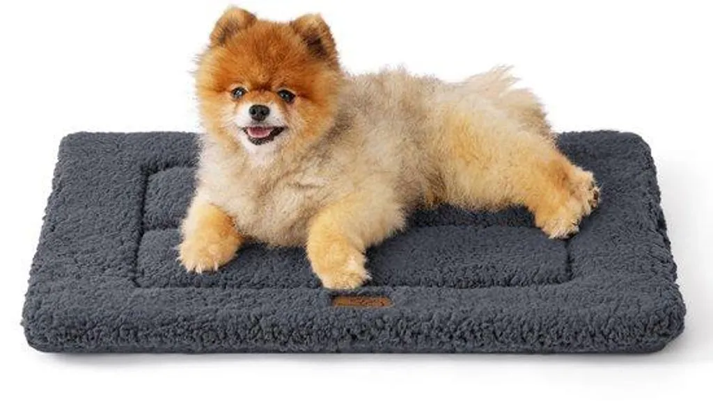 Coussin chien anti-stress 61x46 cm lavable pour sol froid et articulations