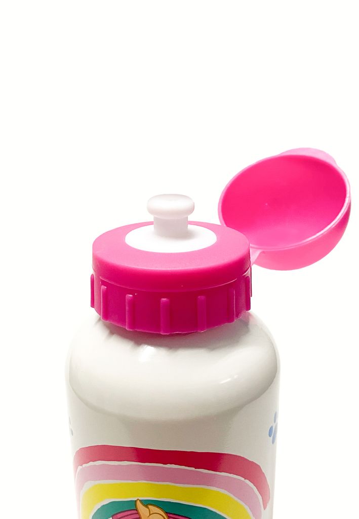 Paw Patrol Aluminium Trinkflasche Skye Everest Rainbow