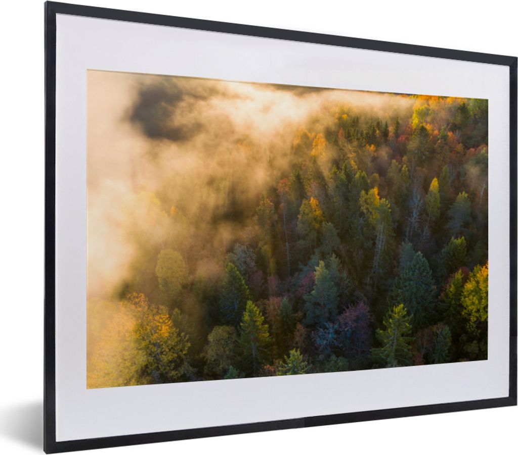 MuchoWow MuchoWow Gerahmtes Poster Wald - Nebel - Sonnenuntergang 40x30 cm - Poster mit zchwarzem Bilderrahmen - Bilderrahmen - Poster im Rahmen