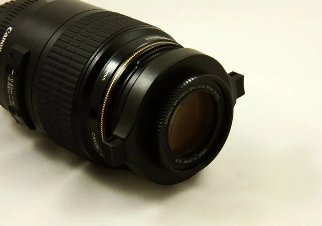 Raynox DCR-250 Solution Macro Haute Qualité sans Changer votre Objectif - 8