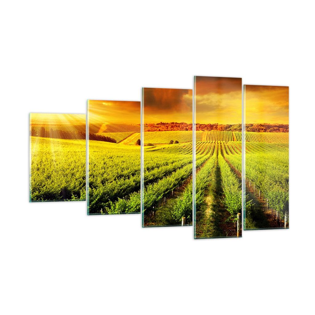 Bilder auf glas - Land Weingut Pflanzung - 100x60cm - Glasbilder - Wandbilder - Kunstdruck - zum Aufhängen bereit - Wanddekoration aus Glas - Glas...