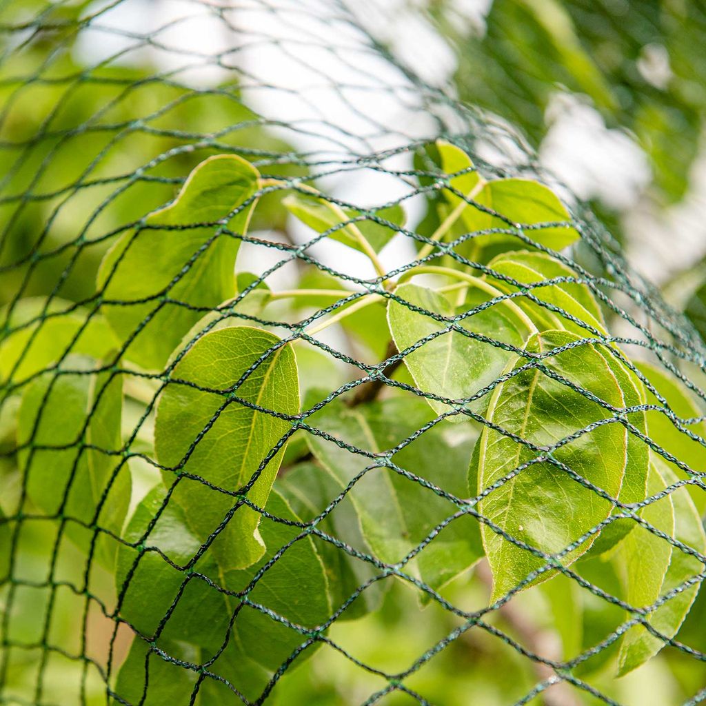 Vogelschutznetz Laubschutznetz Gartennetz 4 x 10m 