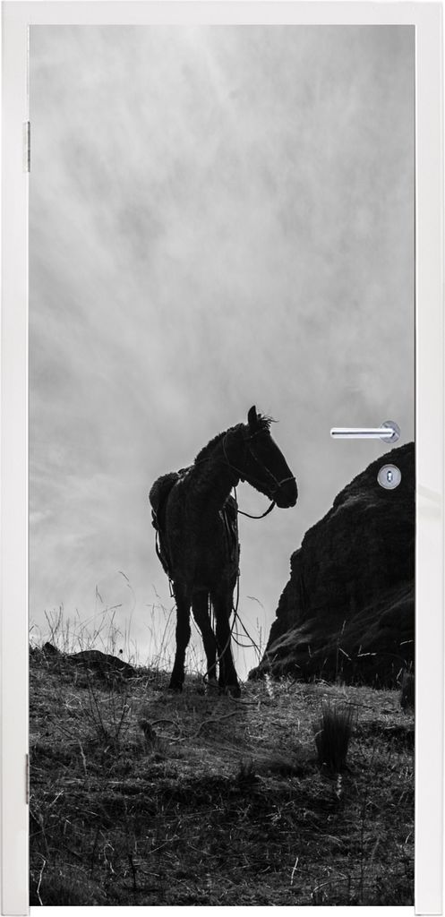 MuchoWow Türtapete Selbstklebende Türfolie Pferd - Wolken - Wiese 95x215 cm Türposter Türaufkleber Klebefolie Türklebefolie - Tür Tapete - ...