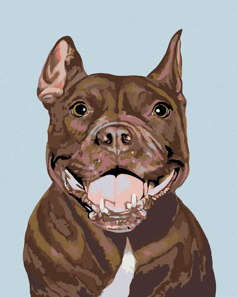 Zuty - Malen nach Zahlen - PITBULL, 40x50 cm, mit Produktbild 