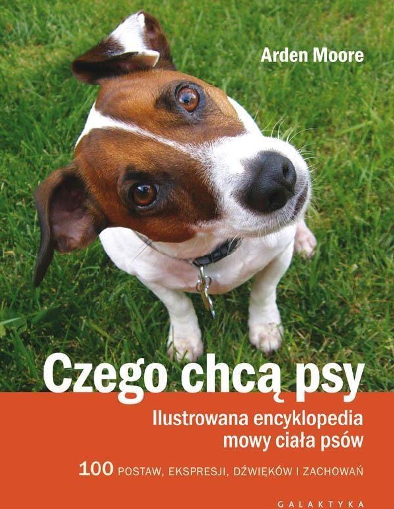 Galaktyka - Czego Chcą Psy? Mowa Ciała, Zachowania I Komunikacja Psów