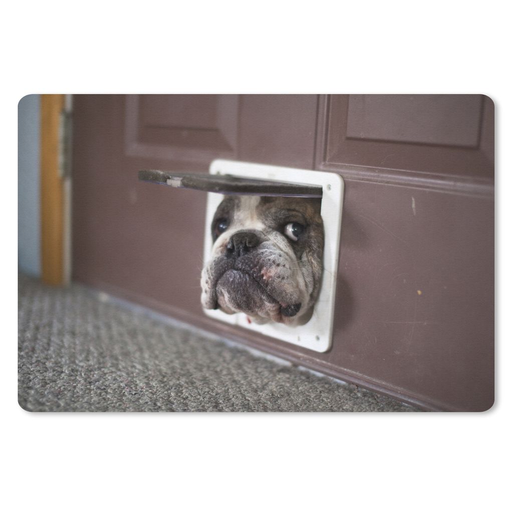 MuchoWow Mauspad Mousepad Hund - Lustig - Katzenklappe - Kinder - Jungen - Mädchen - Kinder 27x18 cm - Mousepads - Maus Mat - Pad - Mausunterlag...