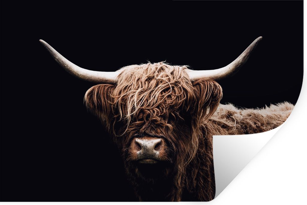 MuchoWow Wandtattoo Wandsticker Wandaufkleber Schottischer Highlander - Schwarz - Horn 60x40 cm Selbstklebend und Repositionierbar - Wierderverwe...