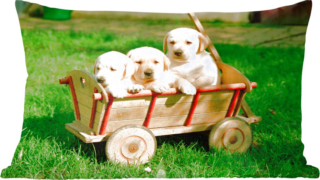 MuchoWow Zierkissen Sofakissen Wohnzimmer Dekokissen 50x30 cm Drei entzückende Golden Retriever Welpen in einem Wagen - Wohnzimmerdekoration - P...
