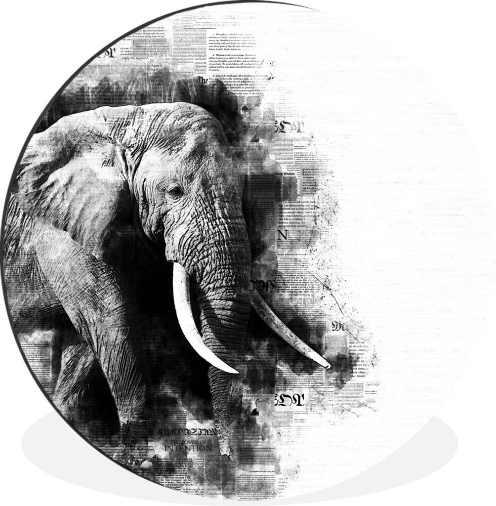 MuchoWow Aluminium Wandkreis Elefant - Papier - Farbe - Schwarz - Weiß Ø 30 cm Wanddeko Modern Wohnzimmer - Wand Bild - Wohnzimmer - Runde Bild...