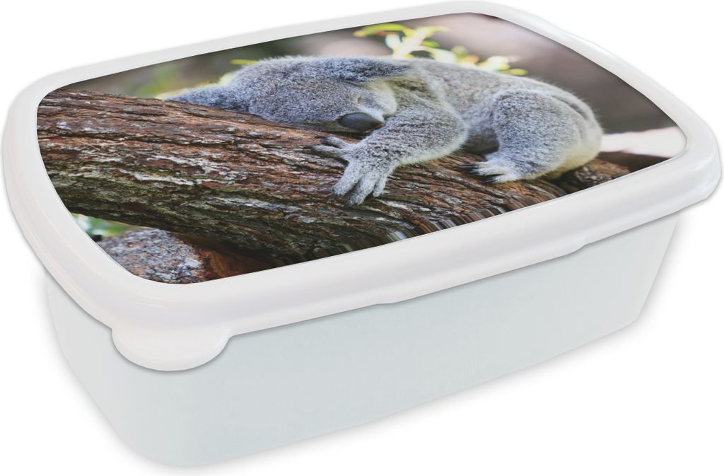 KitchenYeah Lunchbox Brotzeit Brotdose 17x11 cm Koala - Baum - Schlaf - Kinder - Jungen - Mädchen Kinder Brotzeitdose - Lunch Box - Kinder - San...