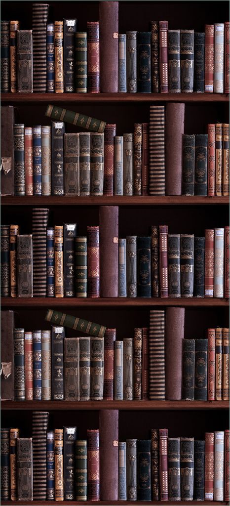 Türtapete Türposter Bücherregal mit alten Büchern - Größe: 93 x 205 cm