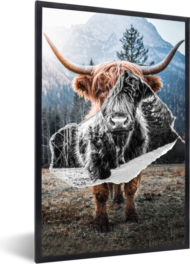MuchoWow Gerahmtes Poster Scottish Highlander - Schwarz - Weiß 40x60 cm - Poster mit Schwarzem Bilderrahmen Wandposter Rahmen Foto Bilder - Papi...