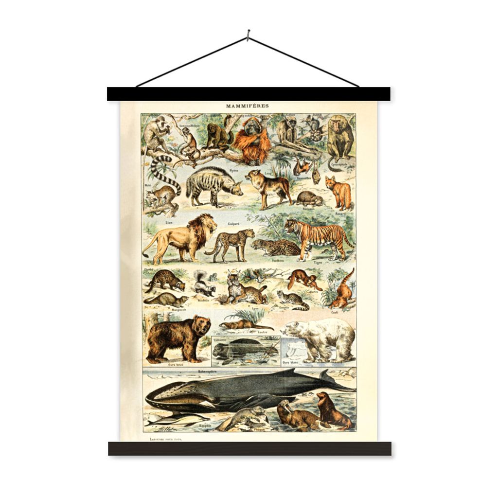 MuchoWow Textilposter Tiere - Vintage - Adolphe Millot - Tiger - Löwe 90x120 cm mit schwarzem Rahmen - Dekoration