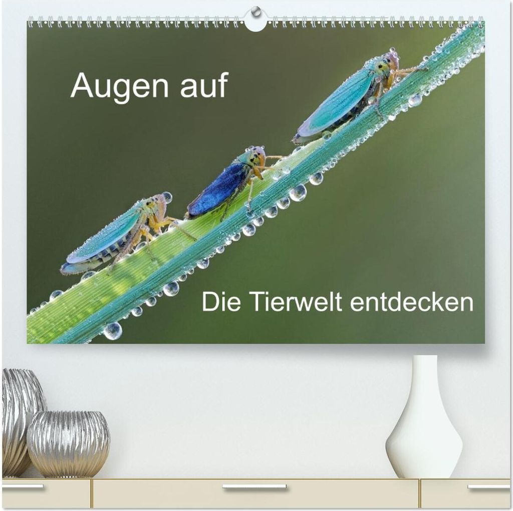 Augen auf - versteckte Tierwelt (hochwertiger Premium Wandkalender 2026 DIN A2 quer), Kunstdruck in Hochglanz