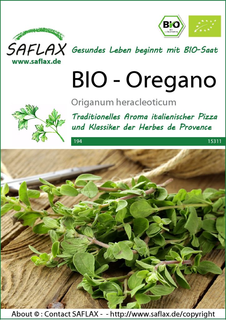 SAFLAX -  - Oregano - 1500 zaden - Origanum heracleoticum Productafbeelding 