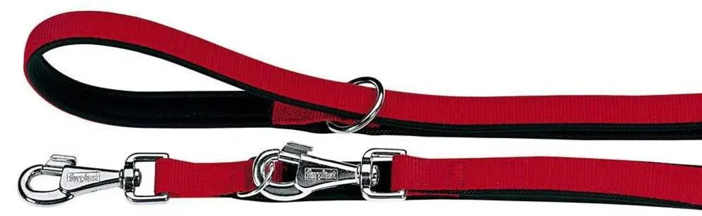 Laisse Rouge Daytona GA20 200 Ferplast avec Poignée Rembourrée en Nylon