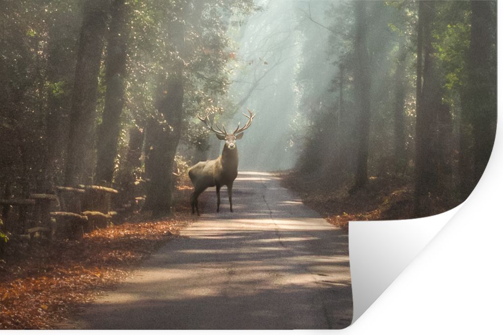 MuchoWow Wandtattoo Wandsticker Wandaufkleber Hirsche - Wald - Sonnenstrahlen 90x60 cm Selbstklebend und Repositionierbar - Aufkleber