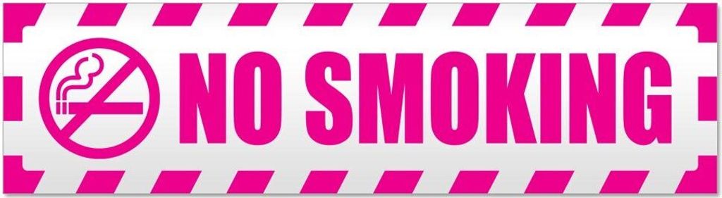 Kiwistar No Smoking gestreift Magnetschild Schild magnetisch - 45cm Pink - Magnetfolie für Auto PKW Kfz