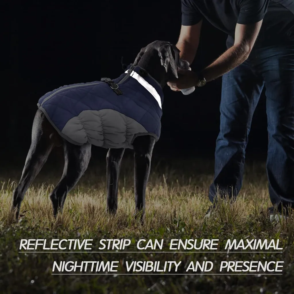 Cappottino Cane British Style Kuoser S - Marrone Reversibile Caldo - 5