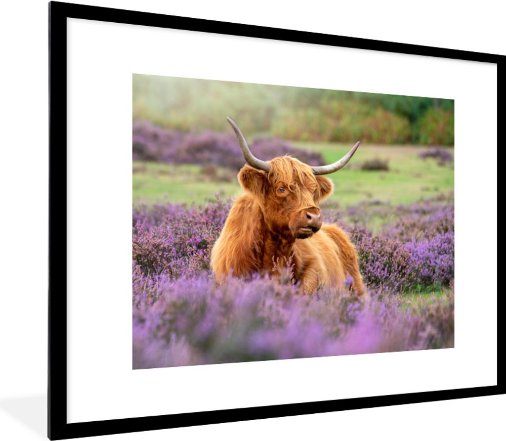 MuchoWow Gerahmtes Poster Schottischer Highlander - Braun - Büsche 80x60 cm - Poster mit Schwarzem Bilderrahmen Wandposter Rahmen Foto Bilder - ...
